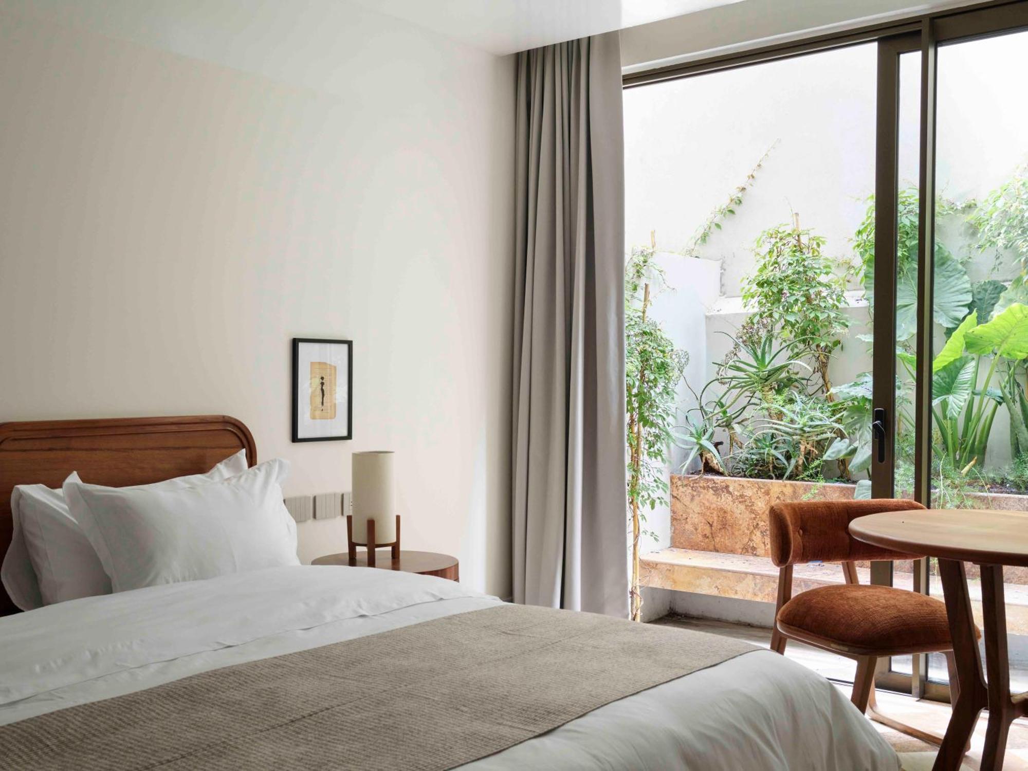 Hotel Dama Meksika Dış mekan fotoğraf